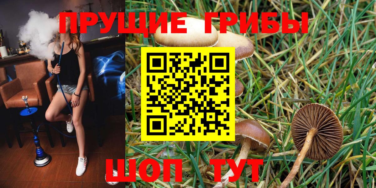 Галлюциногенные грибы прущие грибы Видное